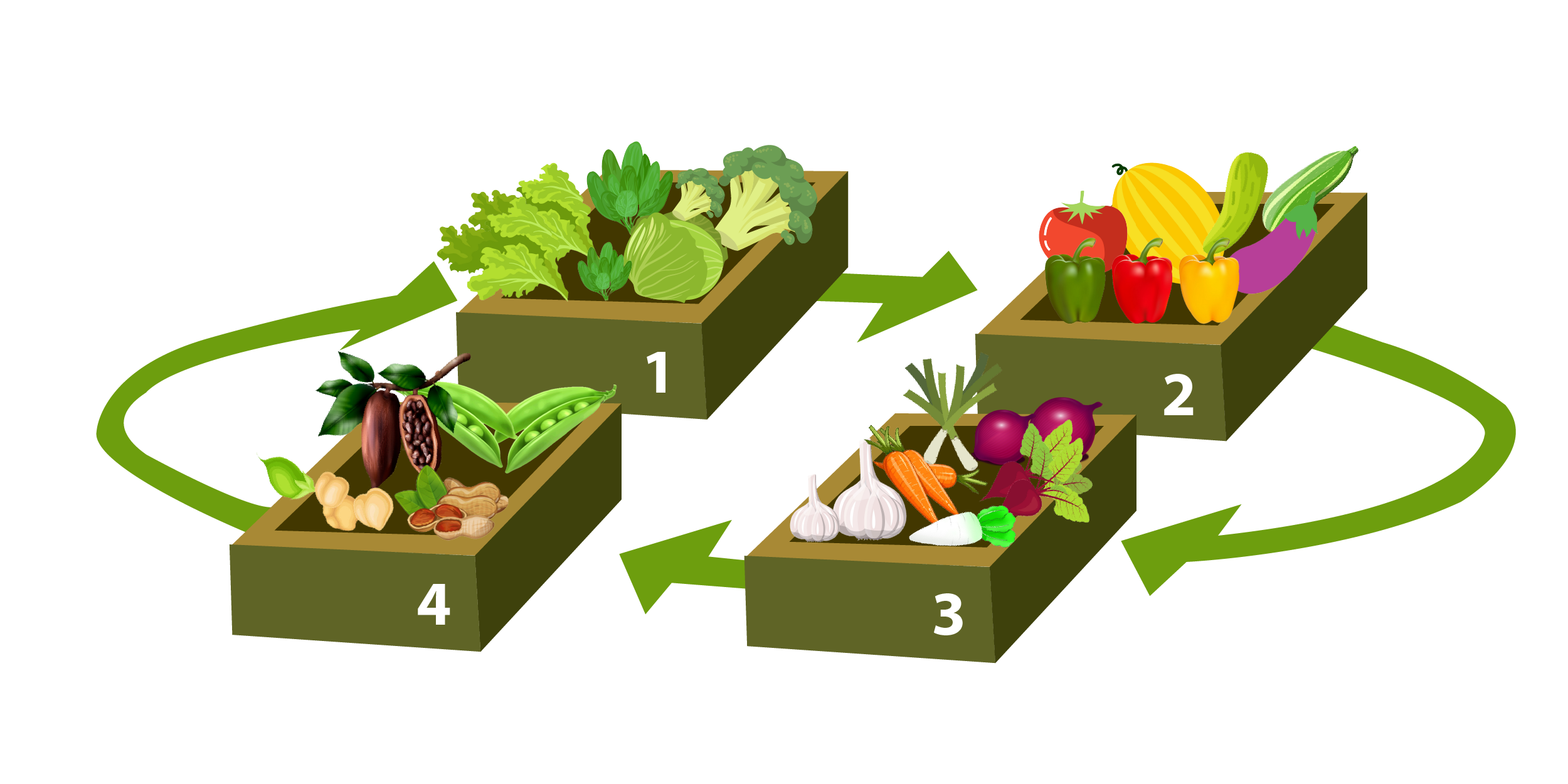 Crop Rotation A way to boost Smart Gardener