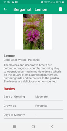 Plant description